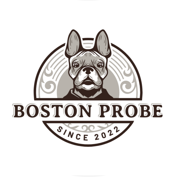 Boston Probe Final And Round Logo